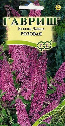 Буддлея видовая розовая 0,1г Гавриш