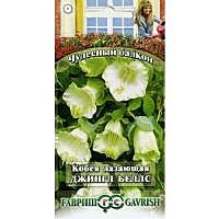 Ц Кобея лазающая Джингл беллс  Гавриш