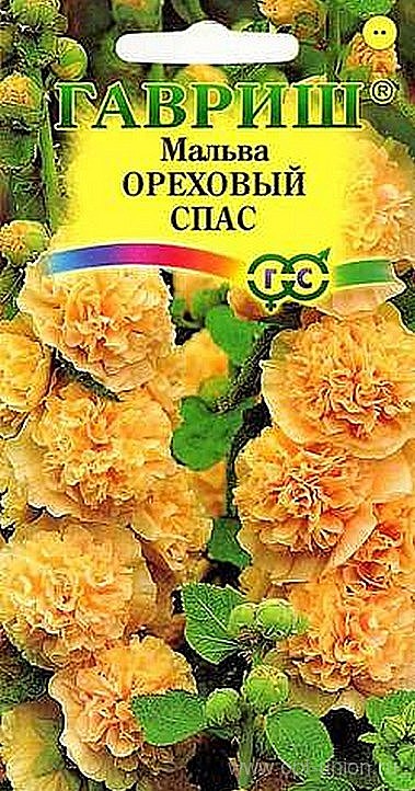 Ц Мальва Ореховый спас  Гавриш