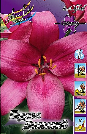 1209 Лилия Пурпл Диамонд Ла 7шт (1шт)