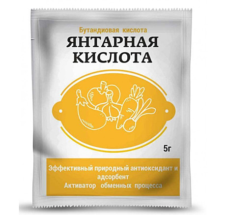 Х Янтарная кислота 5г Биотехнологии