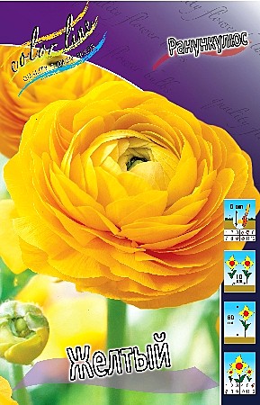 8870 Ранункулюс желтый  10шт/1шт