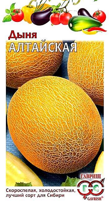 Дыня Алтайская Гавриш 