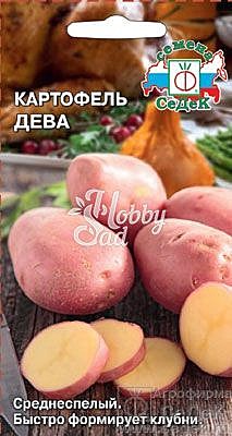 Ф Картофель Дева Седек