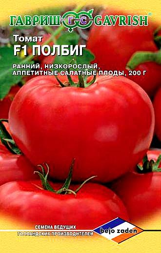 Т Полбиг Голландия Гавриш