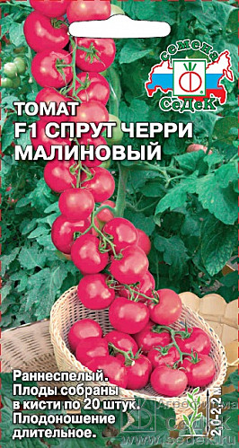 Т Спрут Черри Малиновый Седек