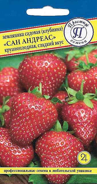 Ф Земляника Сан Андерсс Престиж