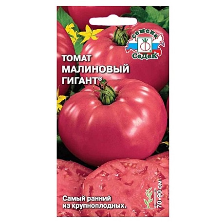 П Гигант винно-красный /ТСХА 25/ УД