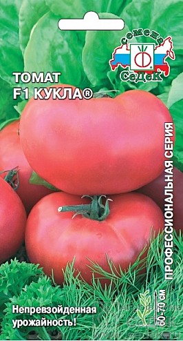 Т Кукла Седек