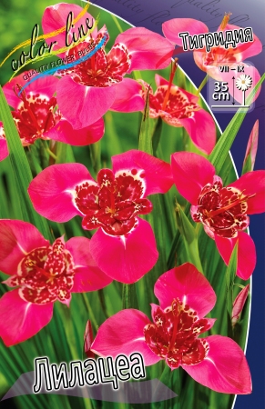 Изображение товара