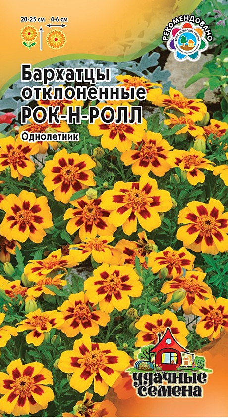 Ц Барх Рок-н-ролл Уд.с.