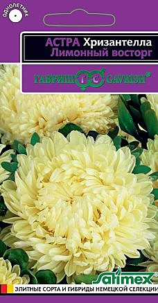 Ц А Хризантелла Лимонный восторг Гавриш