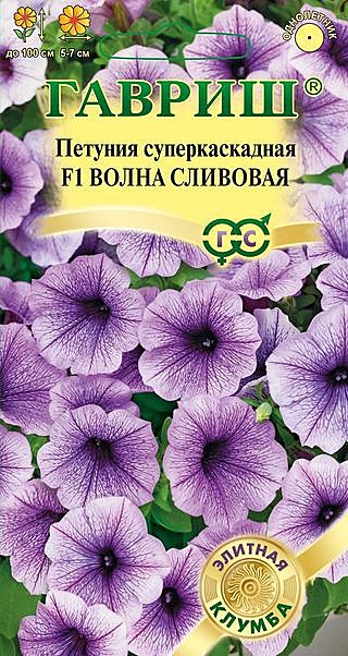 Ц П Волна Сливовая суперкаскад.  Гавриш