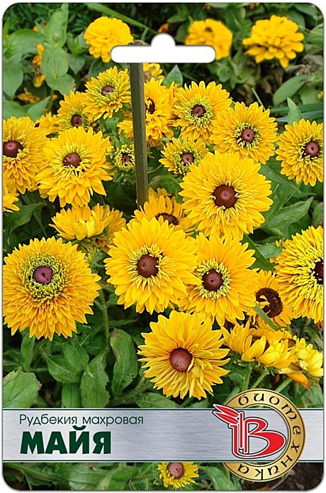 Ц Рудбекия Майя Биотехника