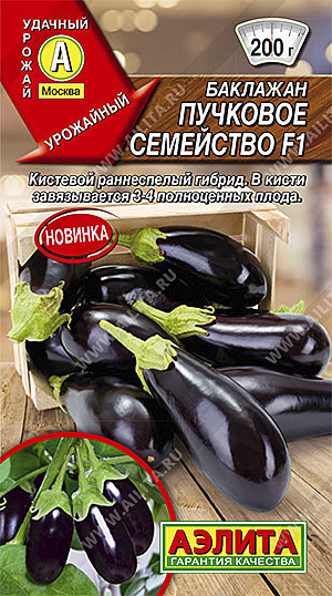 Б Пучковое семейство Аэлита