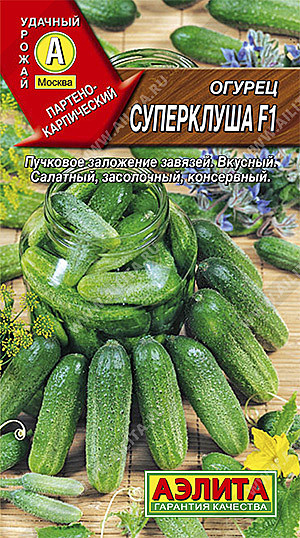 О Суперклуша Аэлита