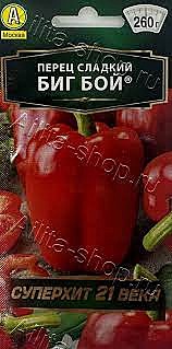 П Биг Бой 20шт  Аэлита