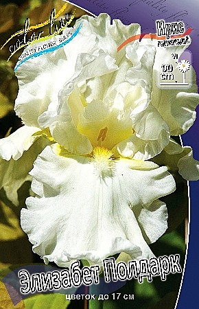 2198 Ирис Элизабет Полдарк германский 1шт