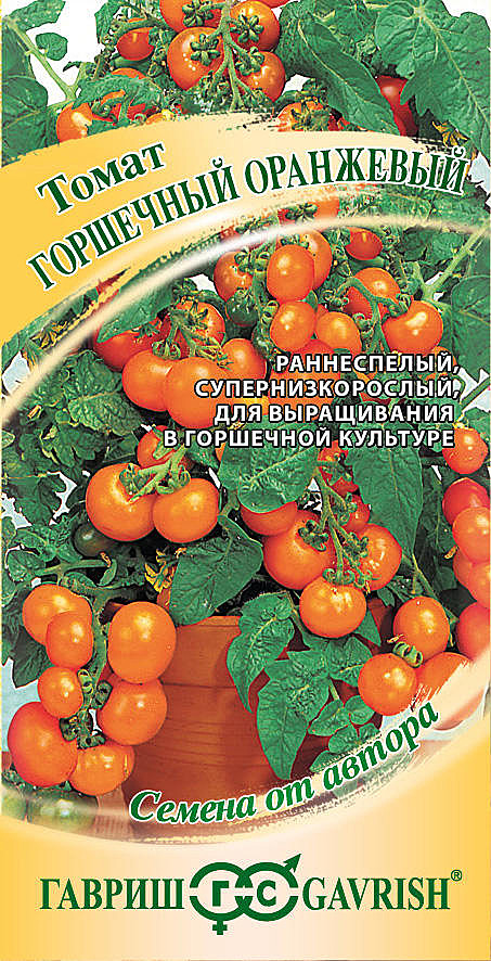 Т Горшечный оранжевый Гавриш 