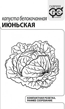 К Июньская п/п Гавриш