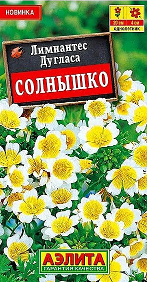 Ц Лимнантес Солнышко Аэлита