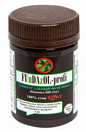 Х Фундазол профи 15гр БиоТехнологии