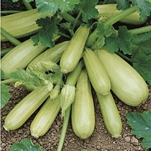 Каб Кавили 3 шт Каприс