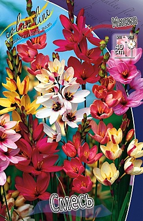 5946 Иксия Смесь (10шт)1шт