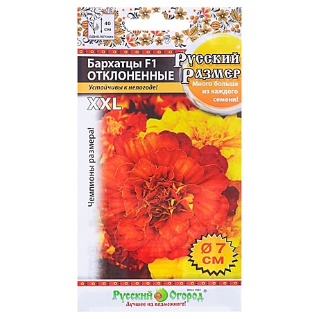 Ц Барх отклоненные Русский размер НК