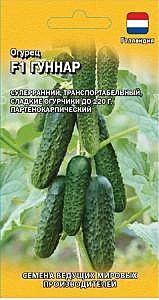 О Гуннар Гавриш