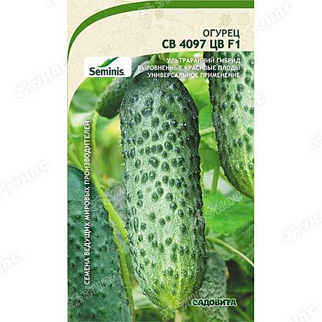 О СВ 4097 ЦВ Садовита