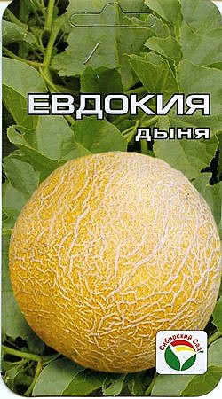 Дыня Евдокия Сиб сад