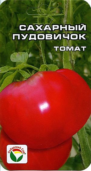 Т Сахарный пудовичок Сиб сад
