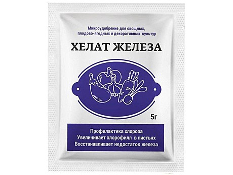 Х Хелат железа 5г Биотехнологии /60/180/