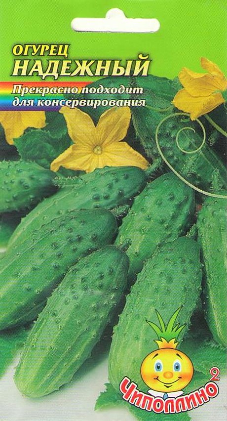 О Надежный Чиполлино