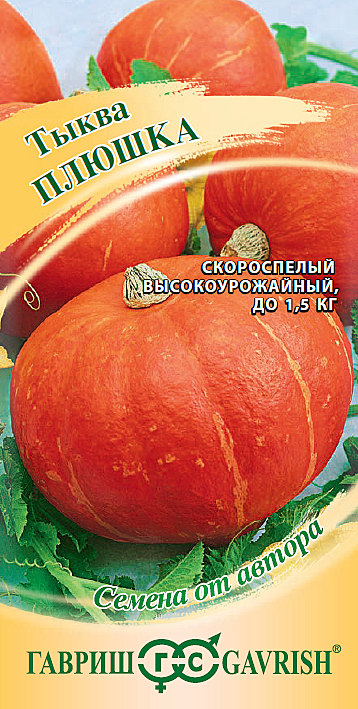 Тыква Плюшка Гавриш