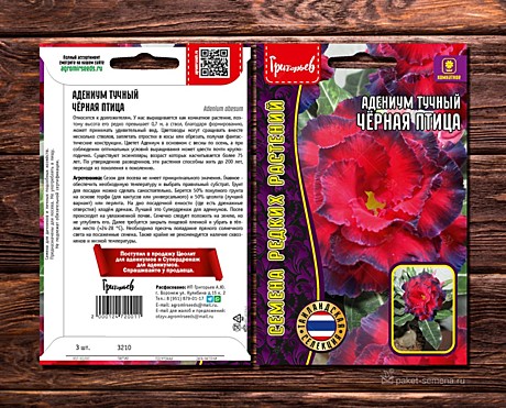 Ц Адениум Черная птица ИП ГР