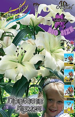 1550 Лилия Притти Вумен от 5шт (1шт)