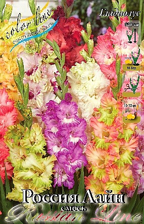 5620 Глад Россия Лайн смесь 10шт/1шт