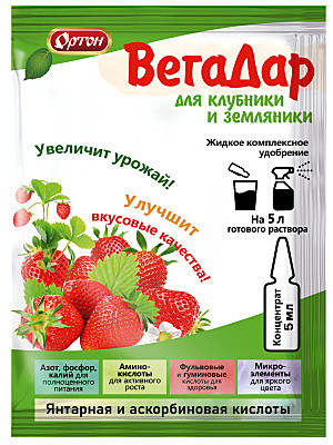 Х ВегаДар для клубники и земляники амп. 5 мл /100/1шт/