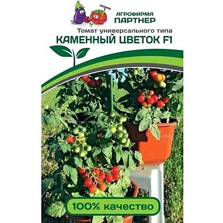 Т Каменный цветок Черри Партнер