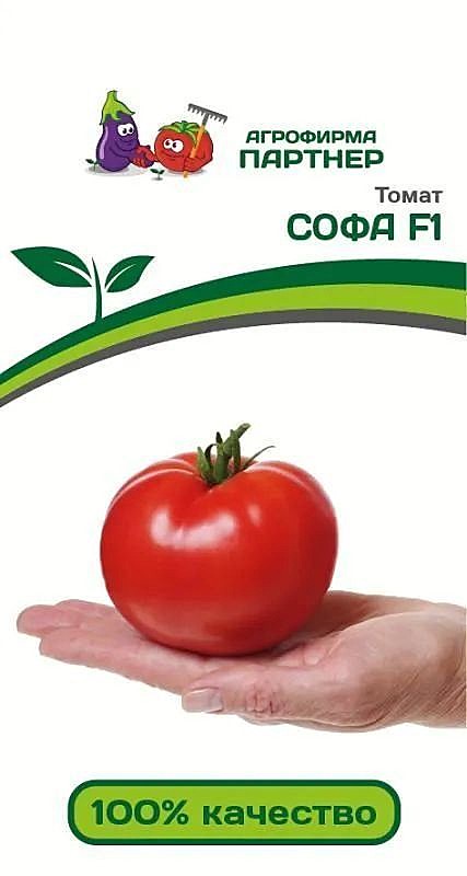 Т Софа Партнер