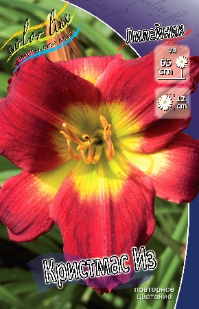 Изображение товара