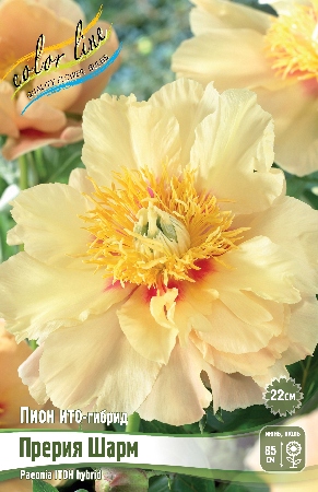 Изображение товара