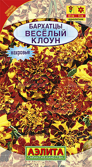 Ц Барх Веселый клоун  Аэлита