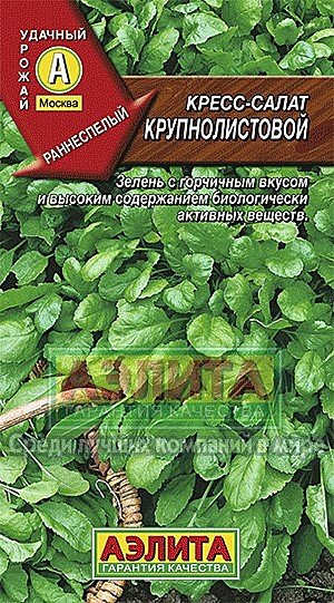 Ф С Кресс крупнолистовой Аэлита