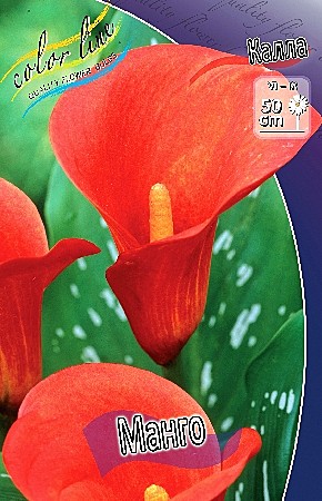 8276 Калла Манго 2шт/1шт