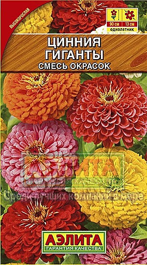 Ц Цинния Гиганты смесь Аэлита