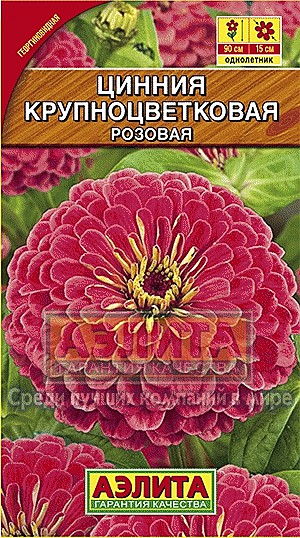 Ц Цинния Крупноцветковая розовая Аэлита