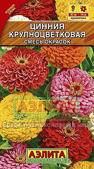 Ц Цинния Крупноцветковая смесь Аэлита